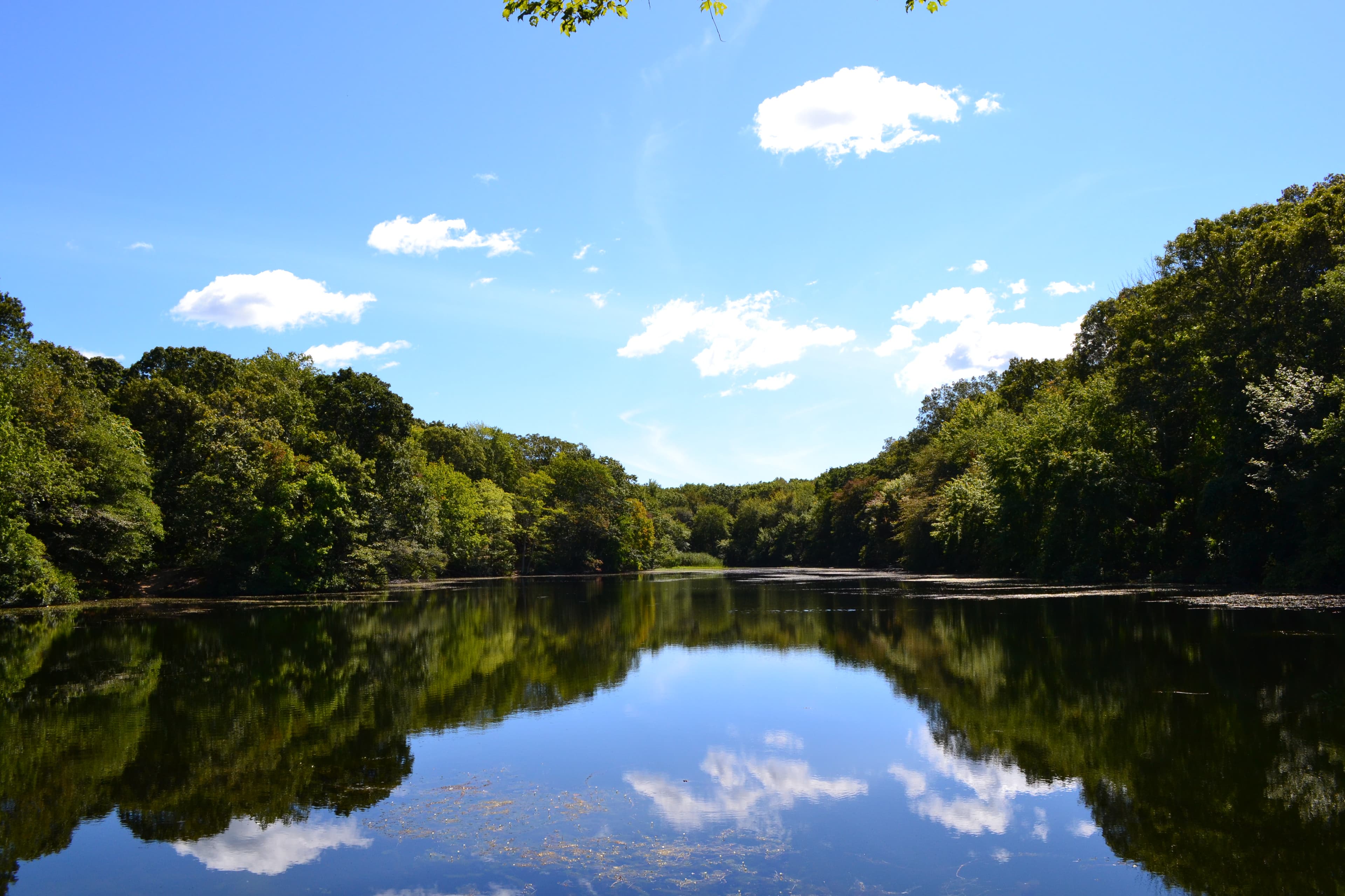 Parallel Development with Claude Code